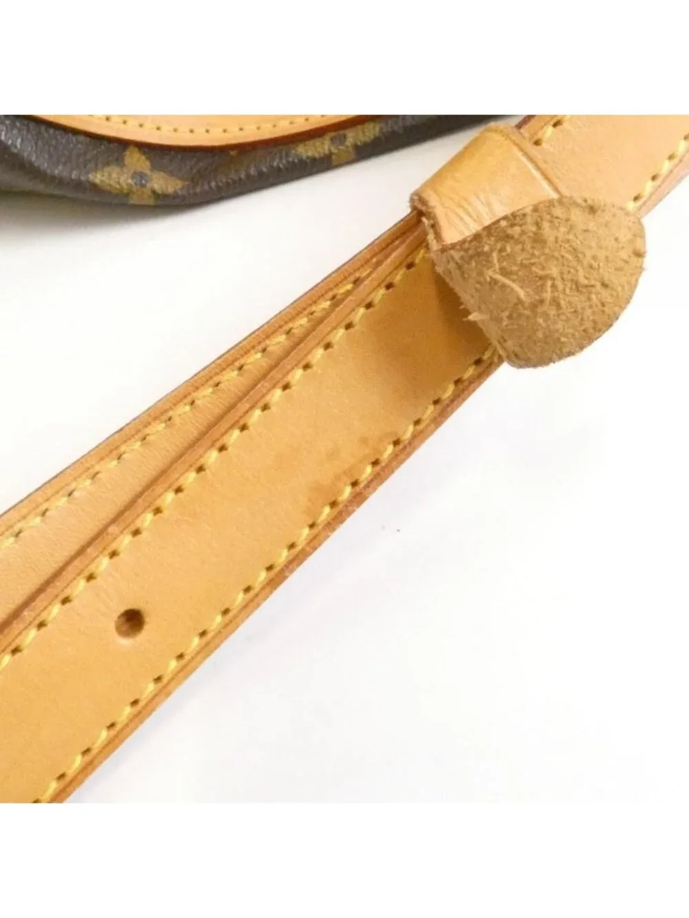 Louis Vuitton Monogram Randonnee PM Shoulder